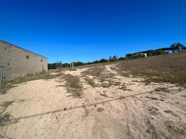 Annesso agricolo in vendita a Luogosanto 22800 mq Rif: 1348054 - Foto 7