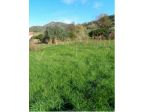 Immobile in asta di 952 m² in vendita a Fuscaldo