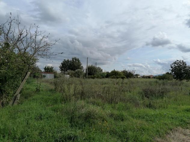 Terreno agricolo in vendita a Ponsacco 12080 mq Rif: 1062396
