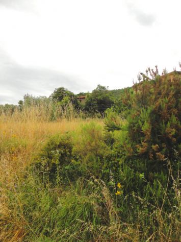 R 202-Rustico in pietra con oltre 1.500 mq di terreno adiacente - Foto 5