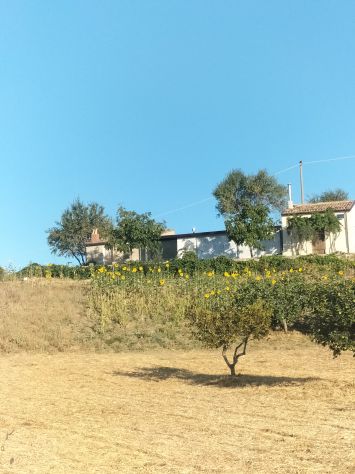 Cercasi donna delle pulizie