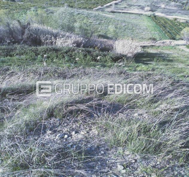 Terreno di 35921 mq in vendita a Montalbano Jonico - Rif. 4551657 - Foto 8