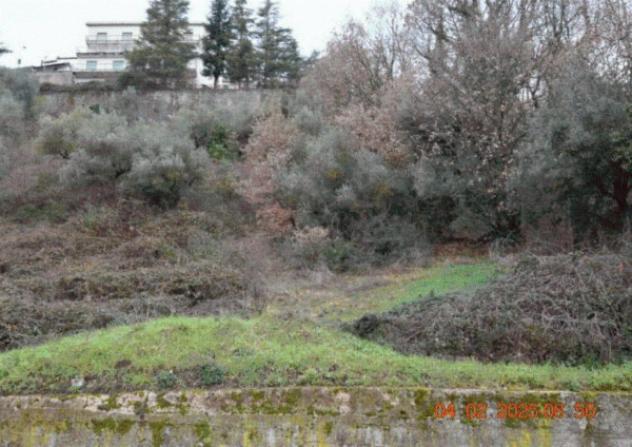 Immobile in asta di 1 m² in vendita a Picerno - Foto 3