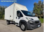 FIAT Ducato 35 3.0 MJT 180CV PLM Cabinato Maxi rif. 21564347