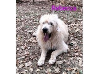 REBECCA 9anni rimasta sola! Dolce past. Vandeano