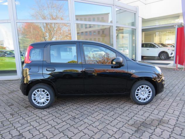 FIAT Pandina 1.0 FireFly 65cv S&S 6m Hybrid Icon - Foto 3