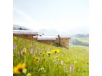 Commis di Cucina (f/m/d)