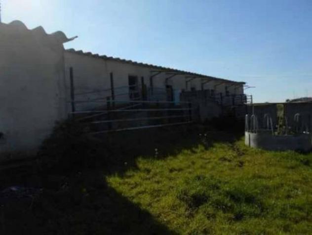 Immobile in asta di 1103 m² in vendita a Thiesi - Foto 5