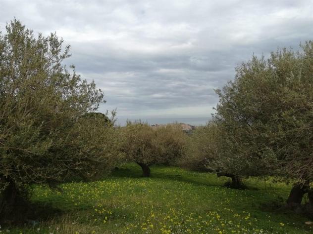 Terreno verde agricolo vista mare