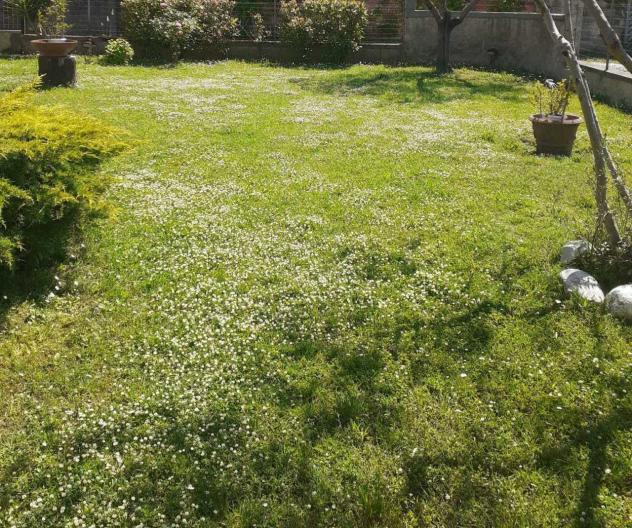 Casa semindipendente in vendita a Marina di Carrara - Carrara 110 mq Rif: 1269324 - Foto 10