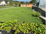 Casa semindipendente in vendita a Fossone - Carrara 130 mq  Rif: 1431130