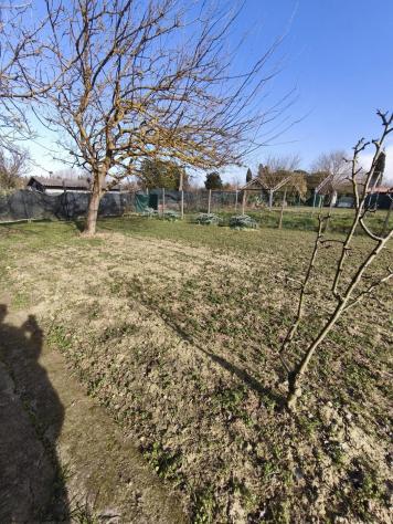 Annesso agricolo in vendita a Pontedera 1200 mq Rif: 1395667 - Foto 10