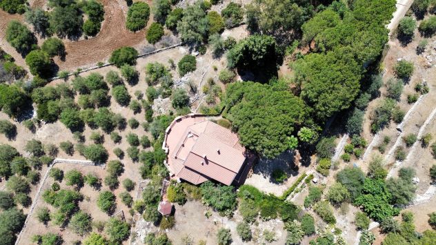 CUGNI Villa immersa nel verde con terreno di oltre 1 ettaro - Foto 7