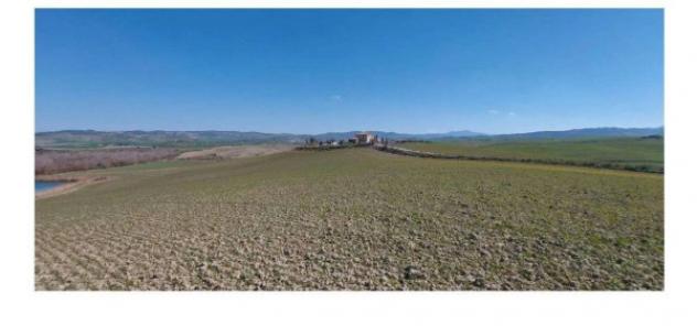 Immobile in asta di 508625 m² in vendita a Castiglione d'Orcia - Foto 6