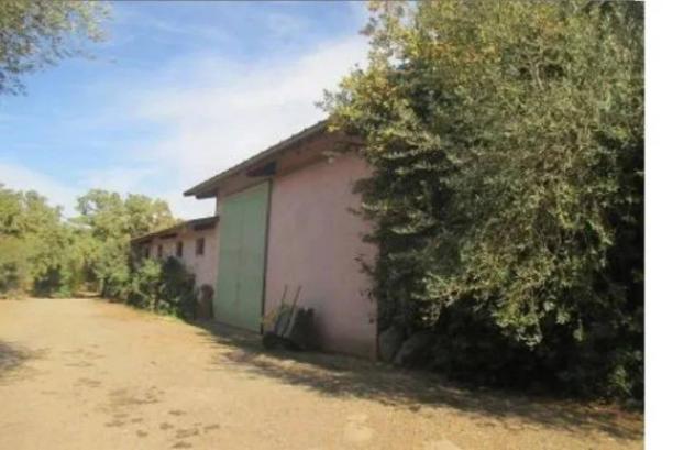 Immobile in asta di 4134 m² in vendita a Abbasanta - Foto 2