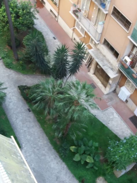 Camere singole STUDENTESSE canone concordato - Foto 6