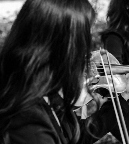 Violinista a Carpi