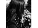 Violinista a Carpi