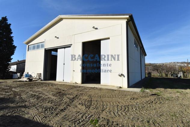 FONDO AGRICOLO CA' DEI FRATI - BRISIGHELLA - Foto 16