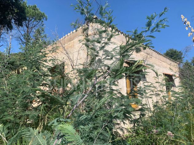 Terreno Agricolo con Magazzino in Vendita a 6 km da Cefalù - Foto 5