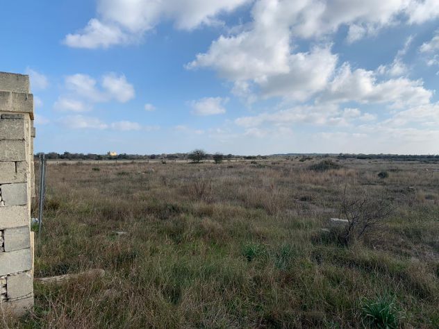LECCE 5 ETTARI TERRENO AGRICOLO - Foto 7