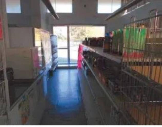 Immobile in asta di 152 m² in vendita a Umbertide - Foto 3