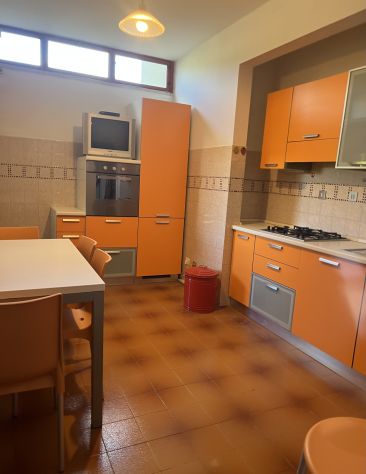 Ampia stanza singola - Foto 2