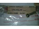 Vite esagonale carter motore Garelli GR 17065600
