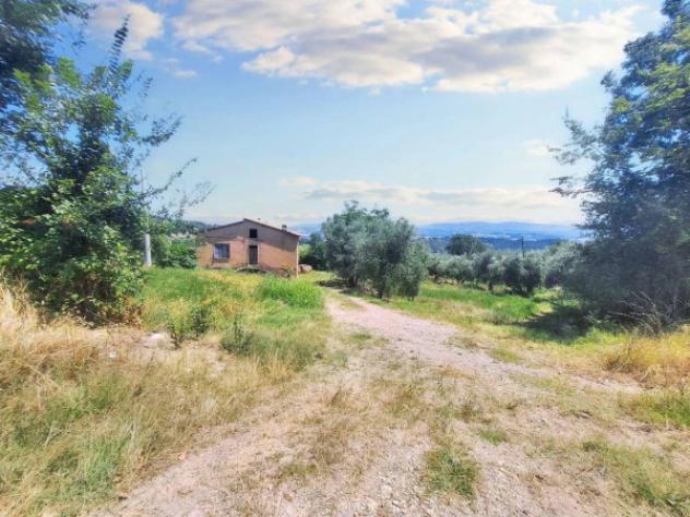 Immobile in asta di 75660 m² in vendita a Monte Castello di Vibio - Foto 11