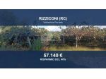Immobile in asta di 15875 m² in vendita a Rizziconi