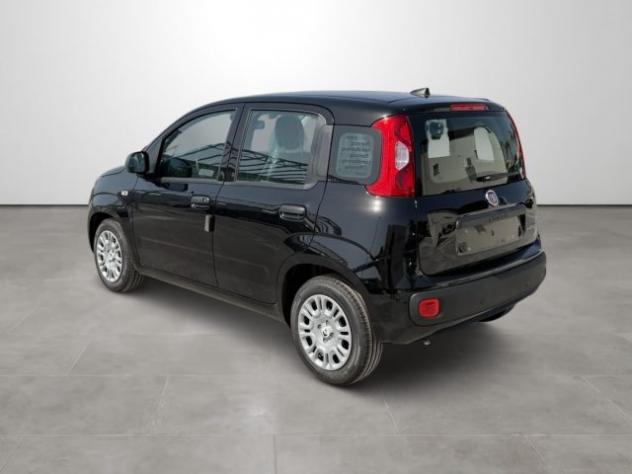 FIAT Pandina 1.0 FireFly 65 CV Hybrid Icon rif. 24167601 - Foto 6