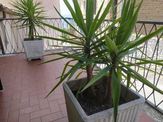 Porzione di casa in vendita a Guardea - Foto 16