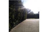 Immobile in asta di 302 m² in vendita a Paterno Calabro