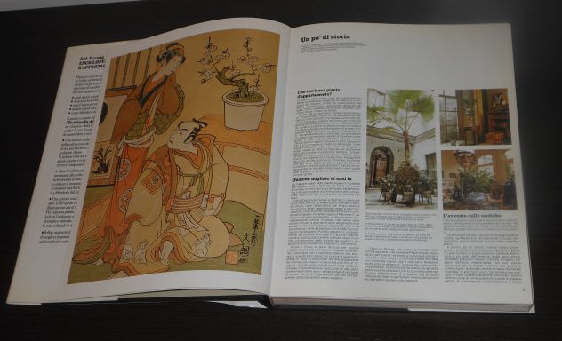 Enciclopedia delle PIANTE D'APPARTAMENTO, Rob Herwig, Zanichelli 1987. - Foto 8