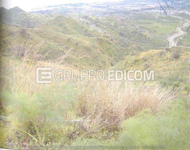 Terreno in vendita a Castelmola - Rif. 4551293 - Foto 2