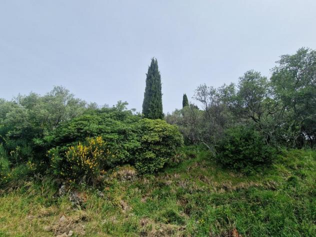 Terreno agricolo in vendita a Casano - Luni 2880 mq Rif: 1411360 - Foto 2