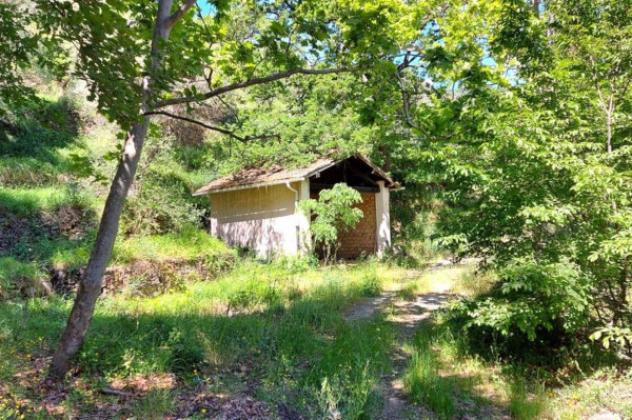 Immobile in asta di 21000 m² in vendita a Pietrabruna - Foto 8