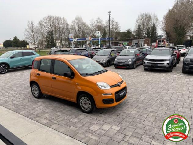 FIAT Panda 1.2 Easy ANCHE PER NEOPATENTATI rif. 23808200 - Foto 5