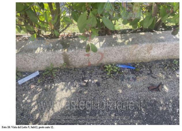 IMMOBILI-ALTRA CATEGORIA-Via dei Tulipani, 67051 Avezzano AQ, Italia