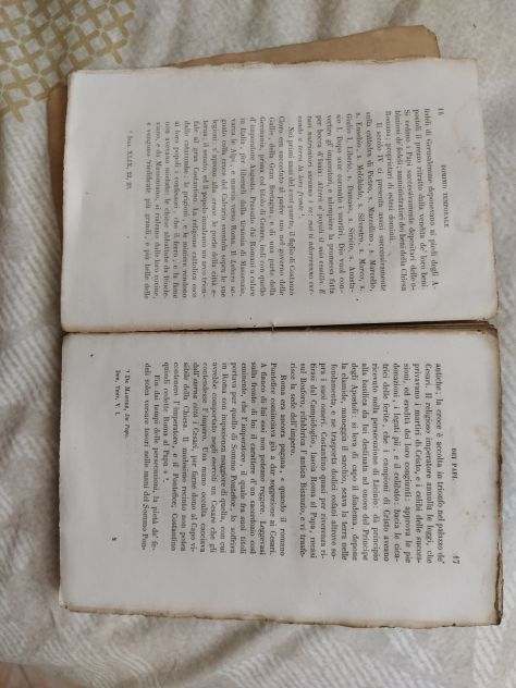 R51-DOMENICO GUALCO - Foto 7
