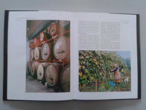 LA CULTURA DEL CIBO TRA ROMAGNA E MARCHE - Foto 2