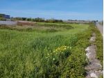 Terreno agricolo 6000 mq