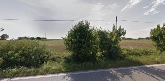 Seminativo in vendita a Pavia di Udine - Foto 4