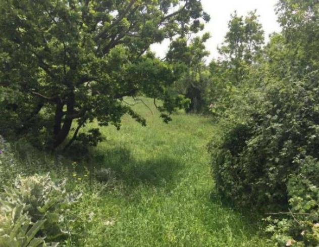 Immobile in asta di 1720 m² in vendita a San Massimo - Foto 2