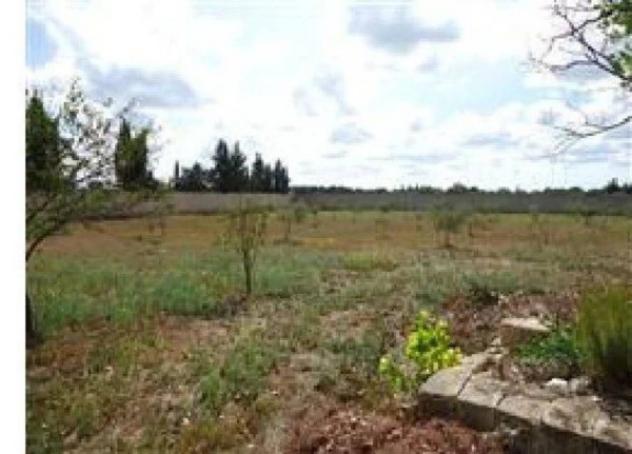 Immobile in asta di 6217 m² in vendita a Torre Santa Susanna - Foto 8