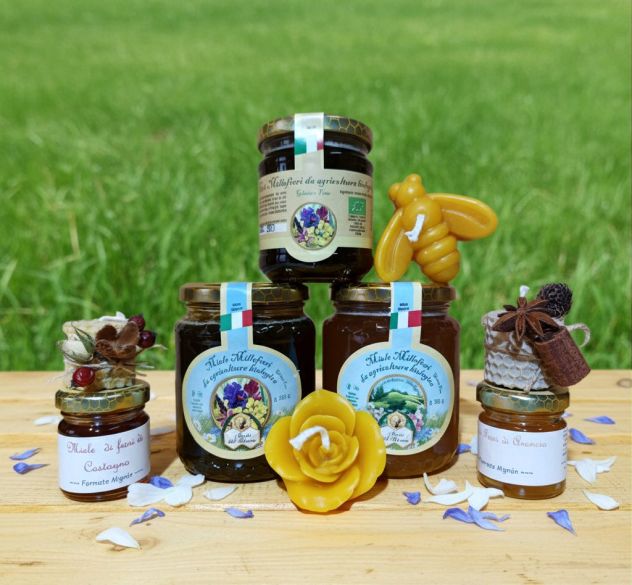 MIELE MILLEFIORI PESCASSEROLI CERTIFICATO BIO VASETTO DA 500 GR. - Foto 3