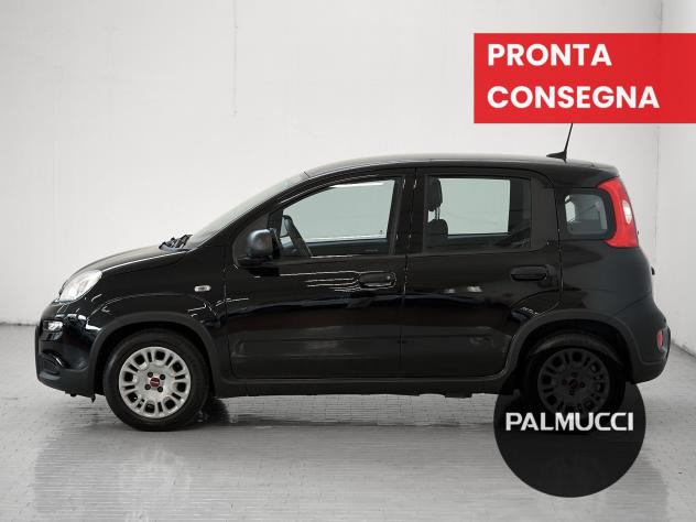 FIAT Panda Panda 1.0 firefly hybrid s&s 70cv - Foto 4