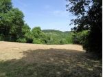 Annesso agricolo in vendita a Poggibonsi 25000 mq  Rif: 1292359