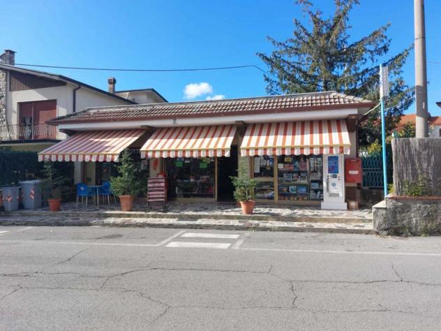 Tabaccheria Edicola Giochi in vendita a Castelnuovo Magra - Foto 4