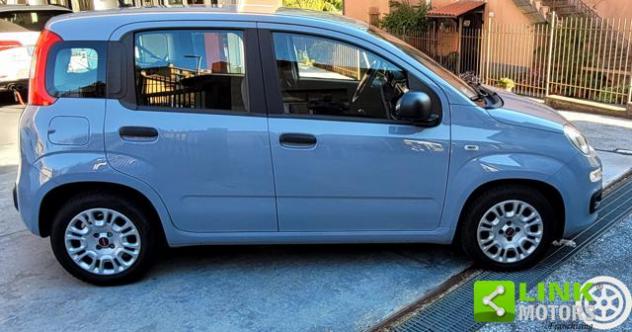 FIAT Panda 1.0 Hybrid 70 CV Easy rif. 24208493 - Foto 3